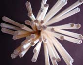 Click on photo to view large image