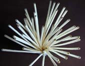 Click on photo to view large image